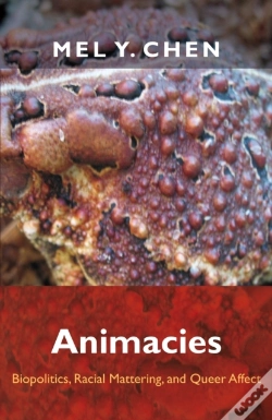 Capa do artigo Animacies