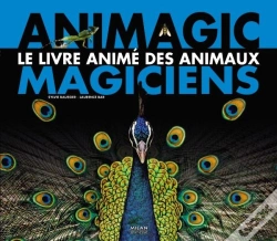 Capa do artigo Animagic