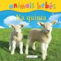 Animais bebés - Na Quinta - Preview