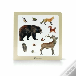 Capa do artigo Animais da Floresta 2