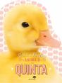Animais da Quinta - Toca e Brilha - Preview