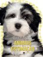 Animais de Estimação - Toca e Brilha - Preview