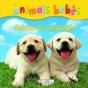 Animais de estimação - Preview