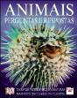 Animais - Preview
