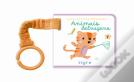 Animais Selvagens - Tigre