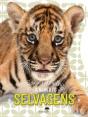 Animais Selvagens - Toca e Brilha - Preview