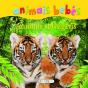 Animais Selvagens - Preview