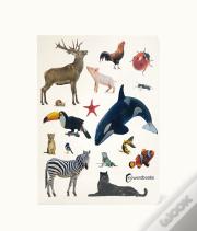 Animais