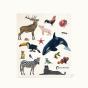 Animais - Preview