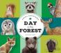 Animal Adventures: Day In The Forest - Preview