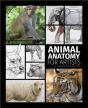 Animal Anatomy For Artists - Preview