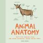 Animal Anatomy - Preview