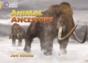 Animal Ancestors - Preview