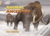 Animal Ancestors