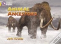 Capa do artigo Animal Ancestors