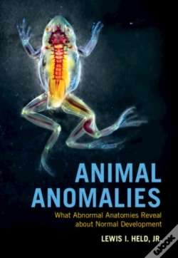 Capa do artigo Animal Anomalies