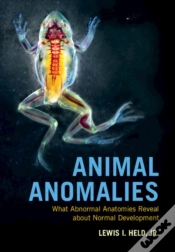 Capa do artigo Animal Anomalies