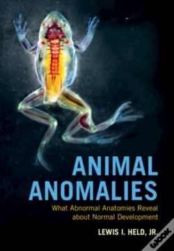 Capa do artigo Animal Anomalies