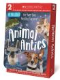 Animal Antics 16 Book Boxset - Preview