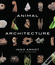 Animal Architecture