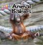 Animal Babies - Preview