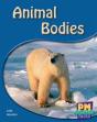 Animal Bodies - Preview