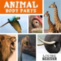 Animal Body Parts - Preview