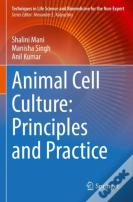Animal Cell Culture: Principles And Practice