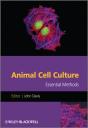 Animal Cell Culture - Preview