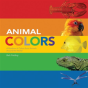 Animal Colors - Preview