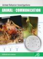 Animal Communication - Preview