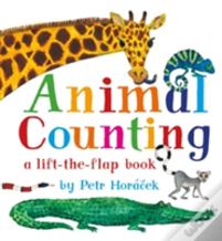 Animal Counting