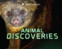 Animal Discoveries - Preview