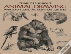 Animal Drawing