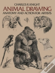 Capa do artigo Animal Drawing