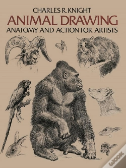 Capa do artigo Animal Drawing