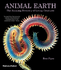 Animal Earth - Preview