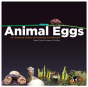 Animal Eggs - Preview