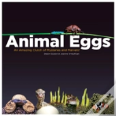Animal Eggs