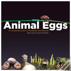 Capa do artigo Animal Eggs
