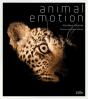 Animal Emotion - Preview