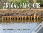 Animal Emotions