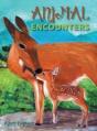 Animal Encounters - Preview