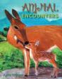 Animal Encounters - Preview