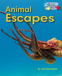 Animal Escapes - Preview
