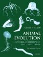 Animal Evolution - Preview