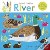 Capa do artigo Animal Families: River