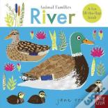 Animal Families: River