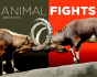 Animal Fights - Preview