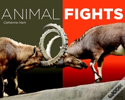 Capa do artigo Animal Fights